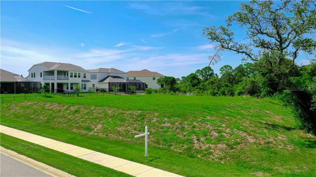 Property Photo: 703 Loquat Drive FL 34689