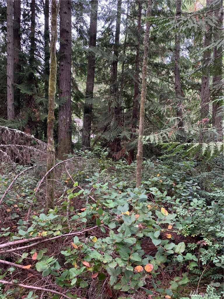 Property Photo:  12908 Silver Dr  WA 98303 