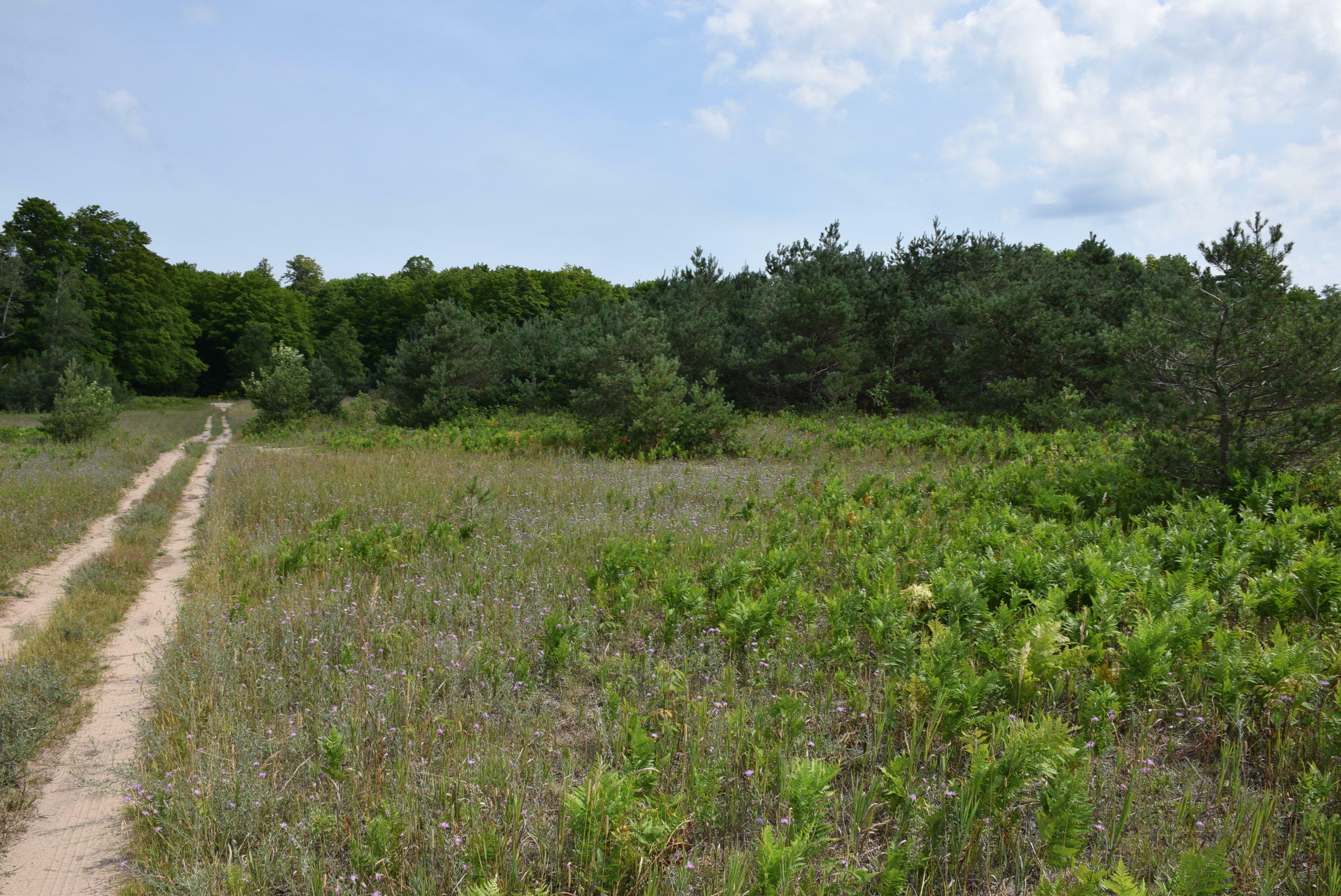 Property Photo:  S Straits Highway 7.65 Acres  MI 49795 