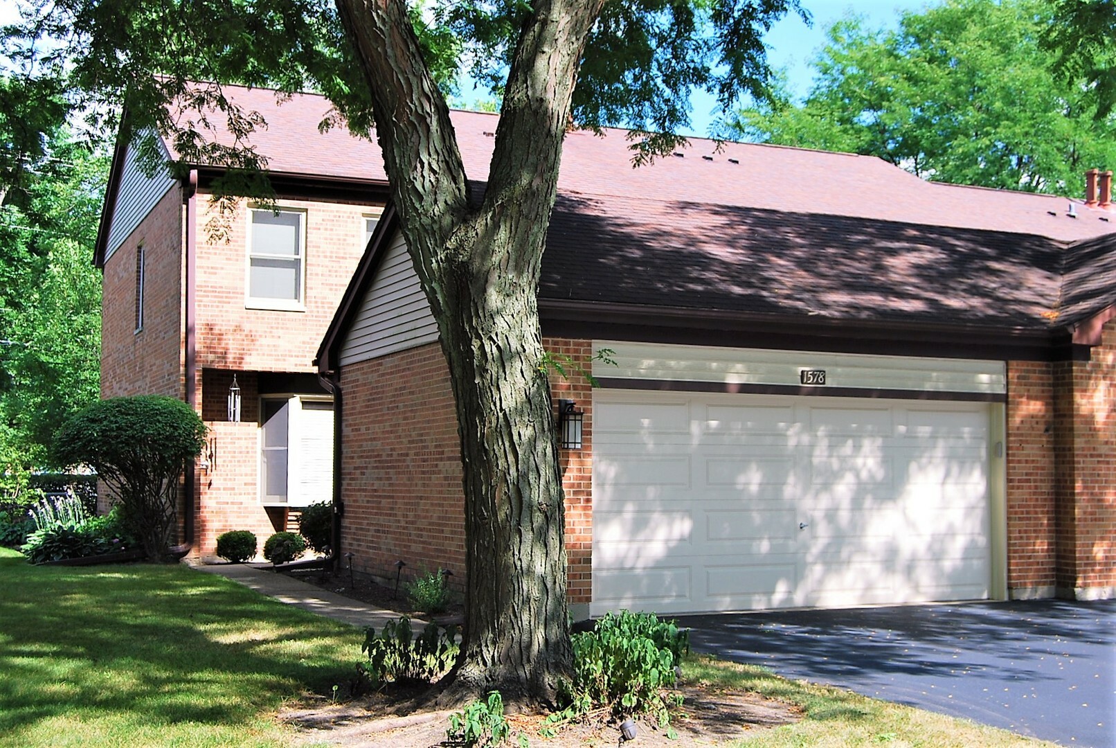 Property Photo:  1578 North Windsor Drive  IL 60004 