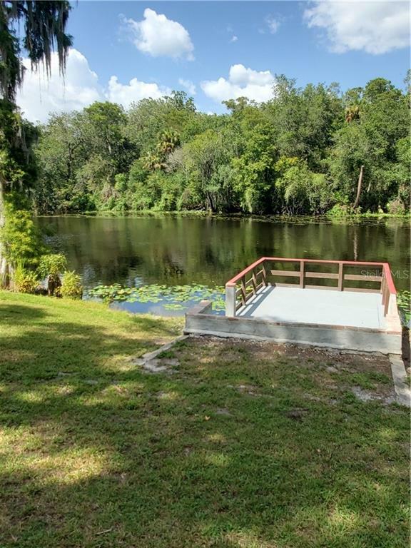 Property Photo:  11715 Gail Drive  FL 33617 