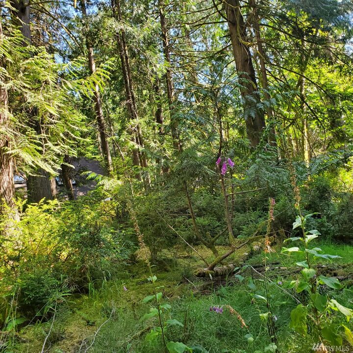 Property Photo:  600 E Pointes Dr W  WA 98584 