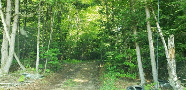 Property Photo:  0 Jackson Lot Road  NH 03470 