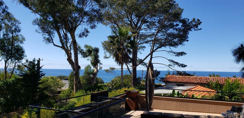 711 Hoska Drive  Del Mar CA 92014 photo