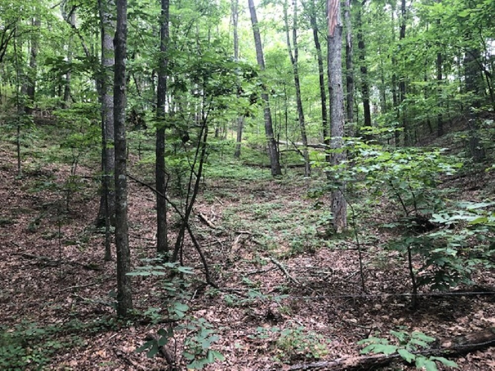 Property Photo: 0 Dry Pond Road GA 30734