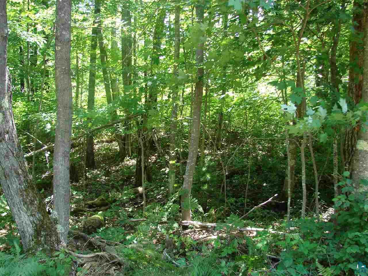 Property Photo:  Xxx S Spider Lake Rd  WI 54847 