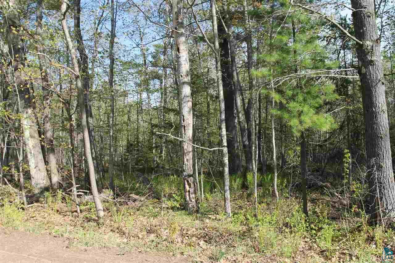 Property Photo: 000 Hillsdale Rd WI 54806