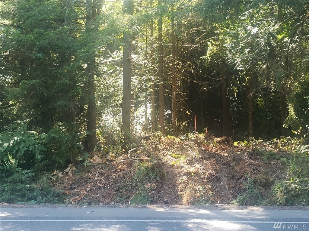 Property Photo: 13618 Peacock Hill Ave WA 98335