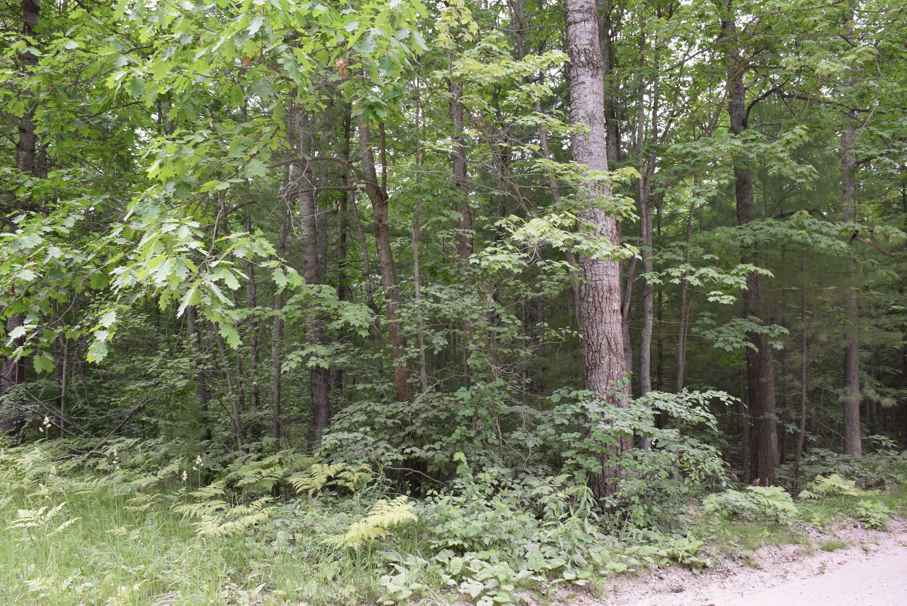 Property Photo:  6287 Waubun Road 5 Acres  MI 49749 