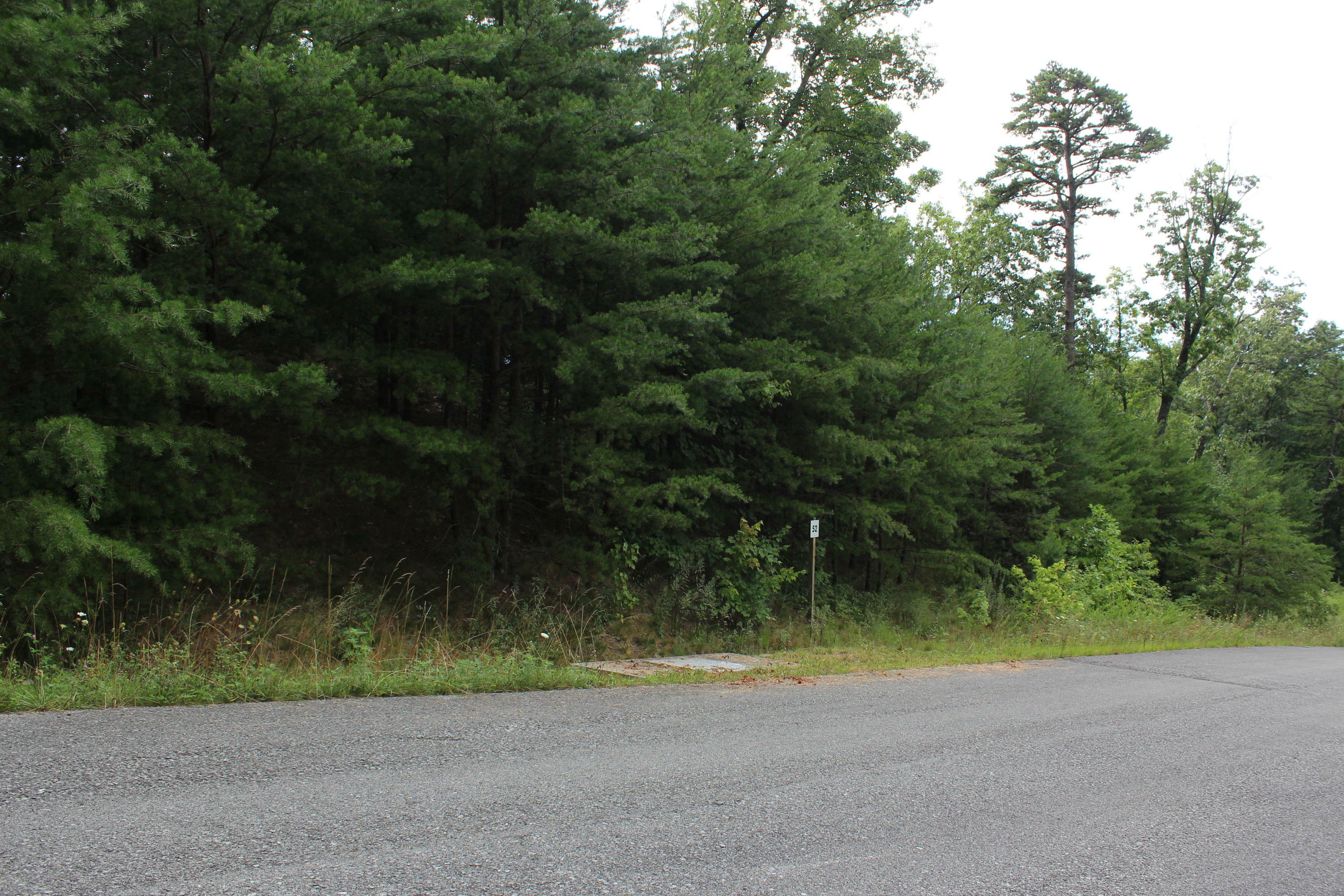 Property Photo:  Lot #52 Mountain Ash Way  TN 37876 