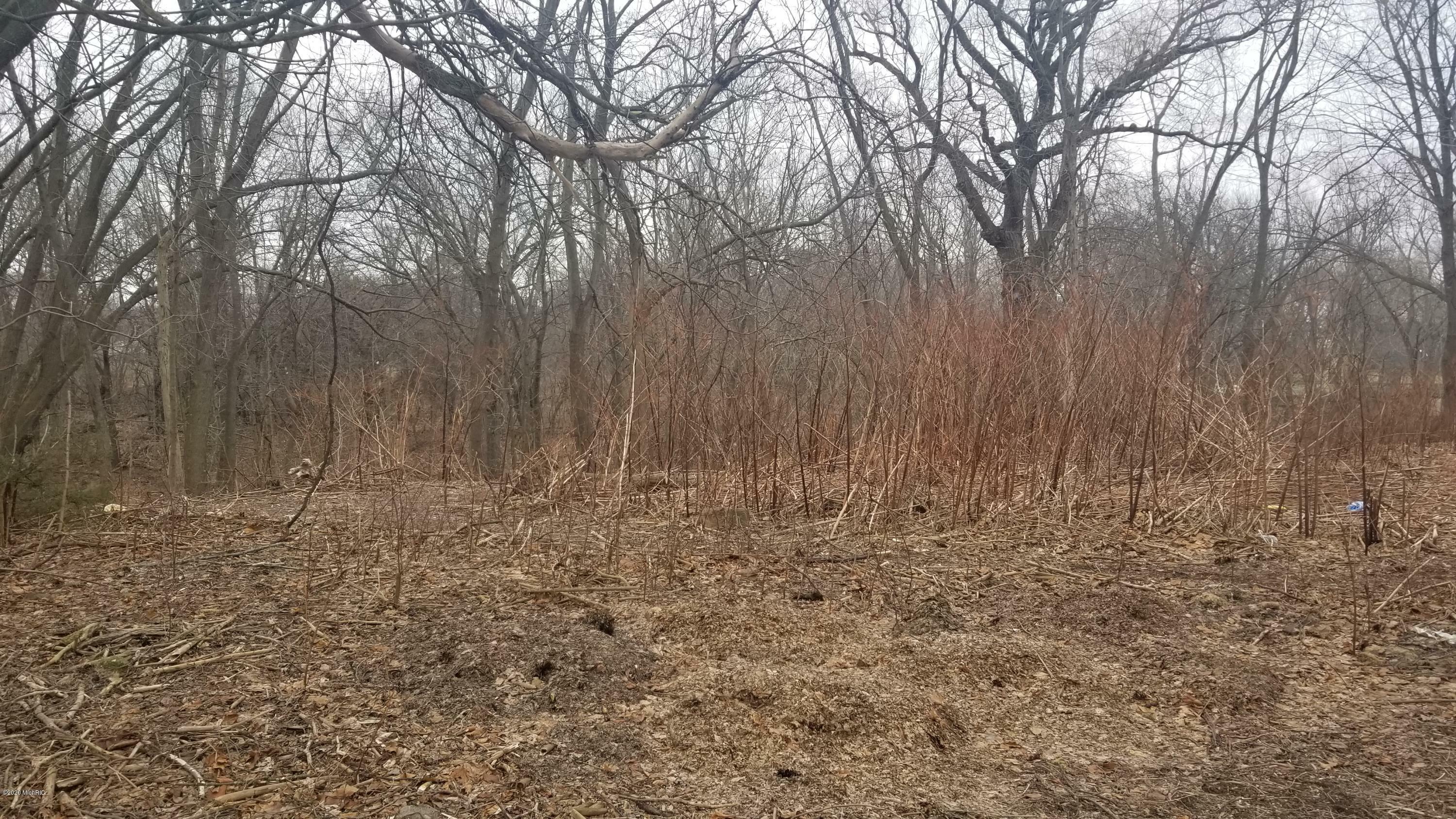 Property Photo: Vl 32nd Street MI 49423