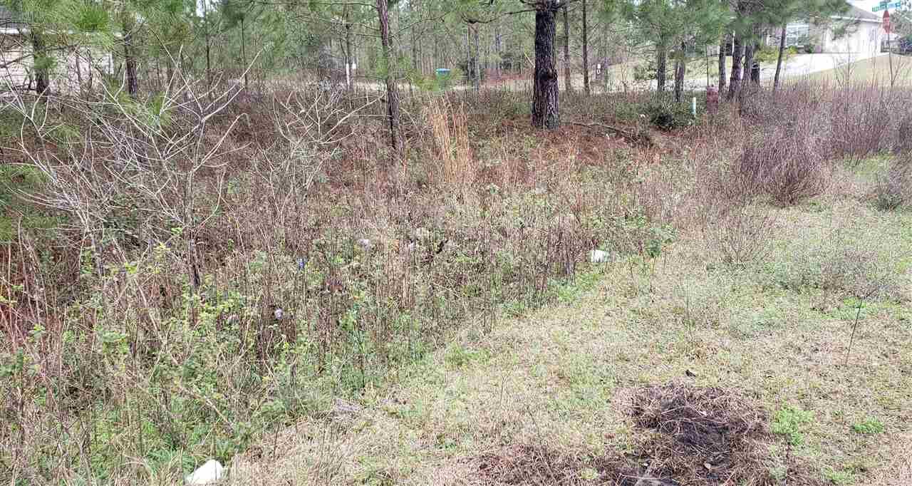 Property Photo:  542 Charles Willis Drive  FL 32343 