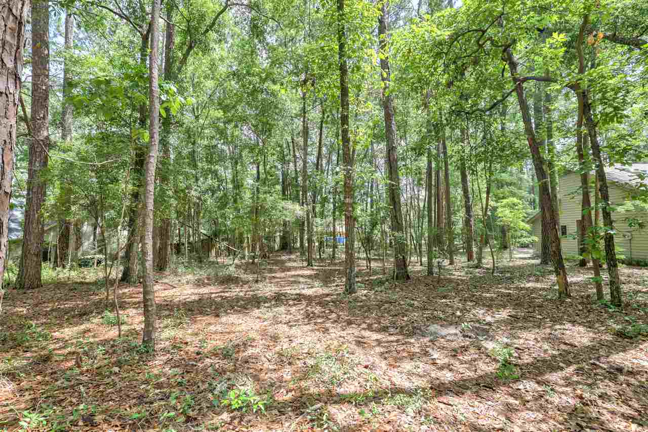 3329 Micanopy Trail  Tallahassee FL 32312 photo