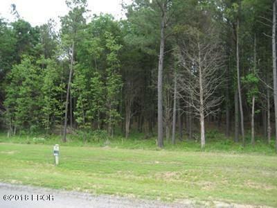 Property Photo: Lot 358 Parrish Ridge Lane IL 62939