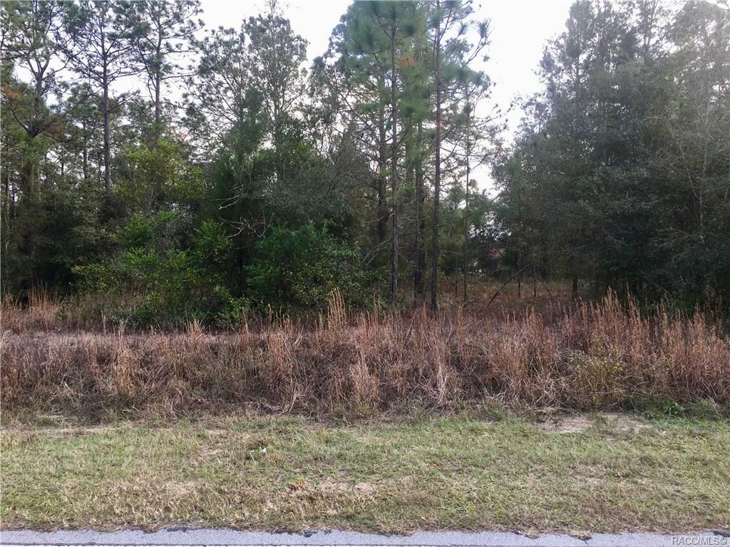 Property Photo:  Lot 21 SW Marine Boulevard  FL 34431 