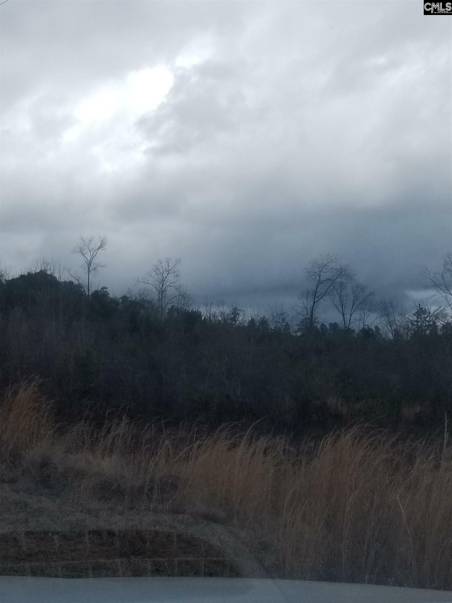 Property Photo: 0 Peachtree Lot 2 SC 29054