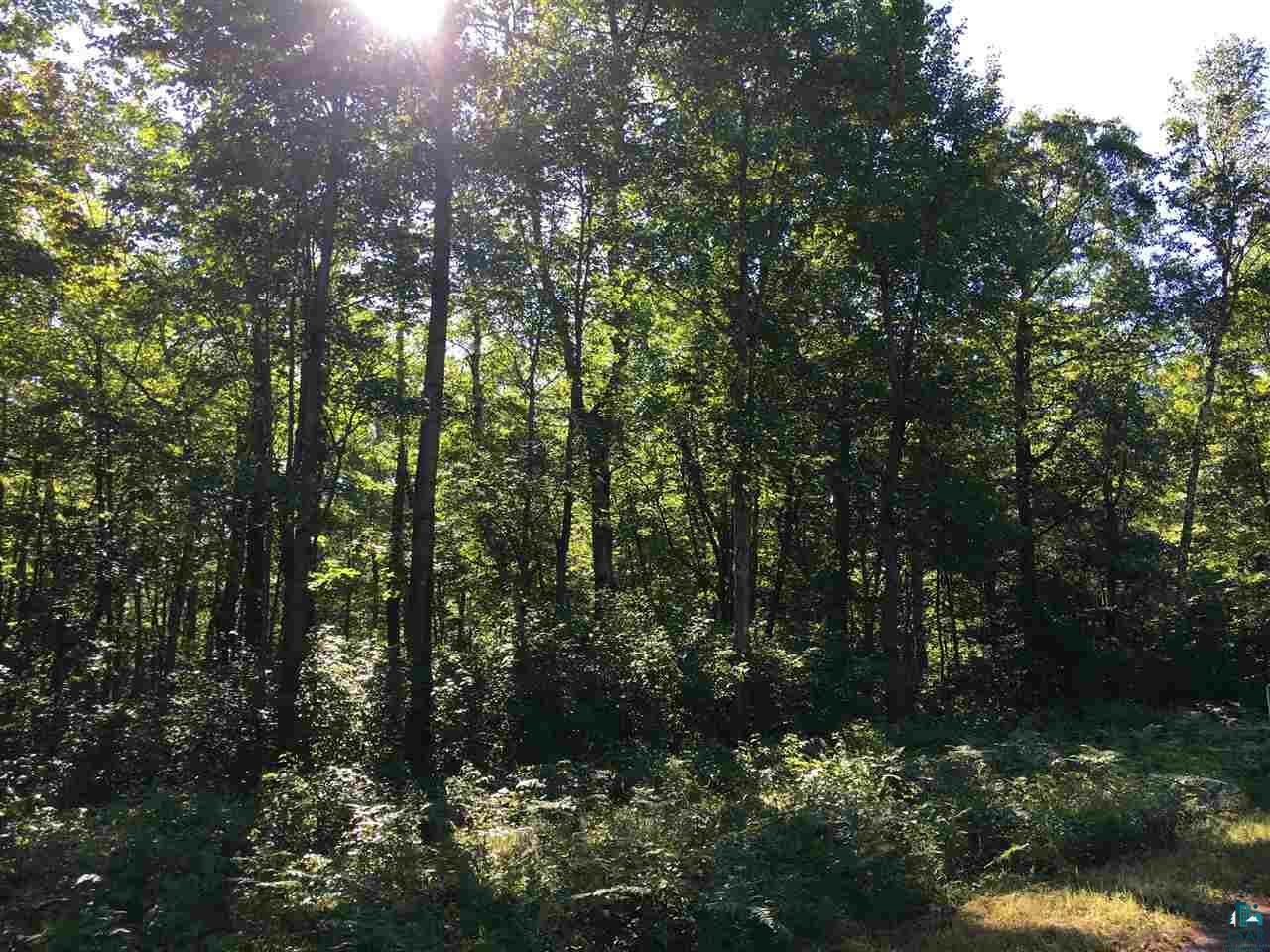 Property Photo:  Lot 21 E Ruth Lake Rd  WI 54847 