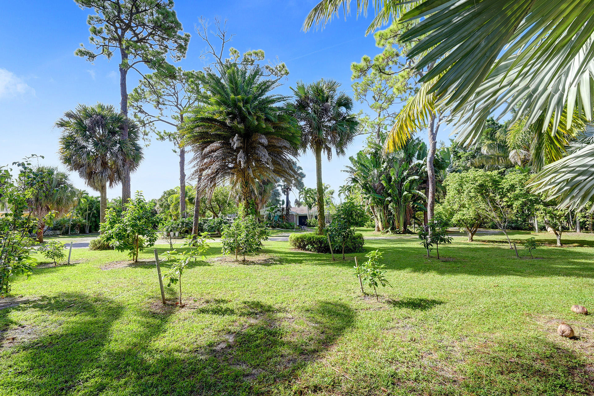 6460 Pine Avenue 6460  Greenacres FL 33463 photo