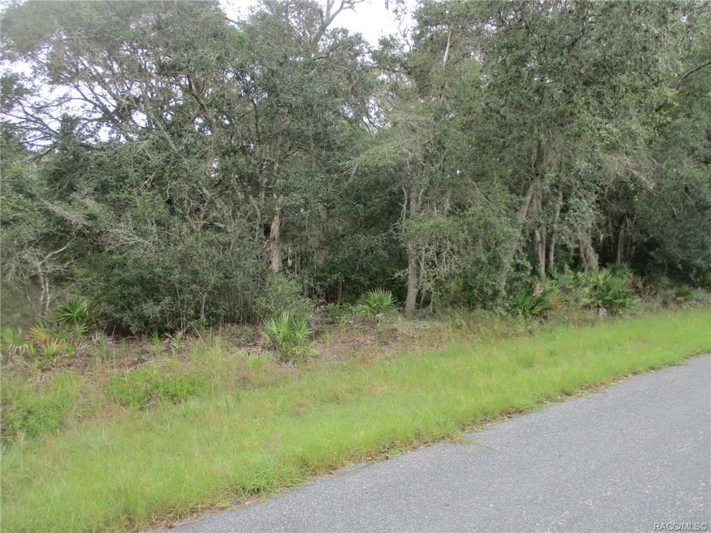 11927 W Cockscomb Drive  Crystal River FL 34428 photo