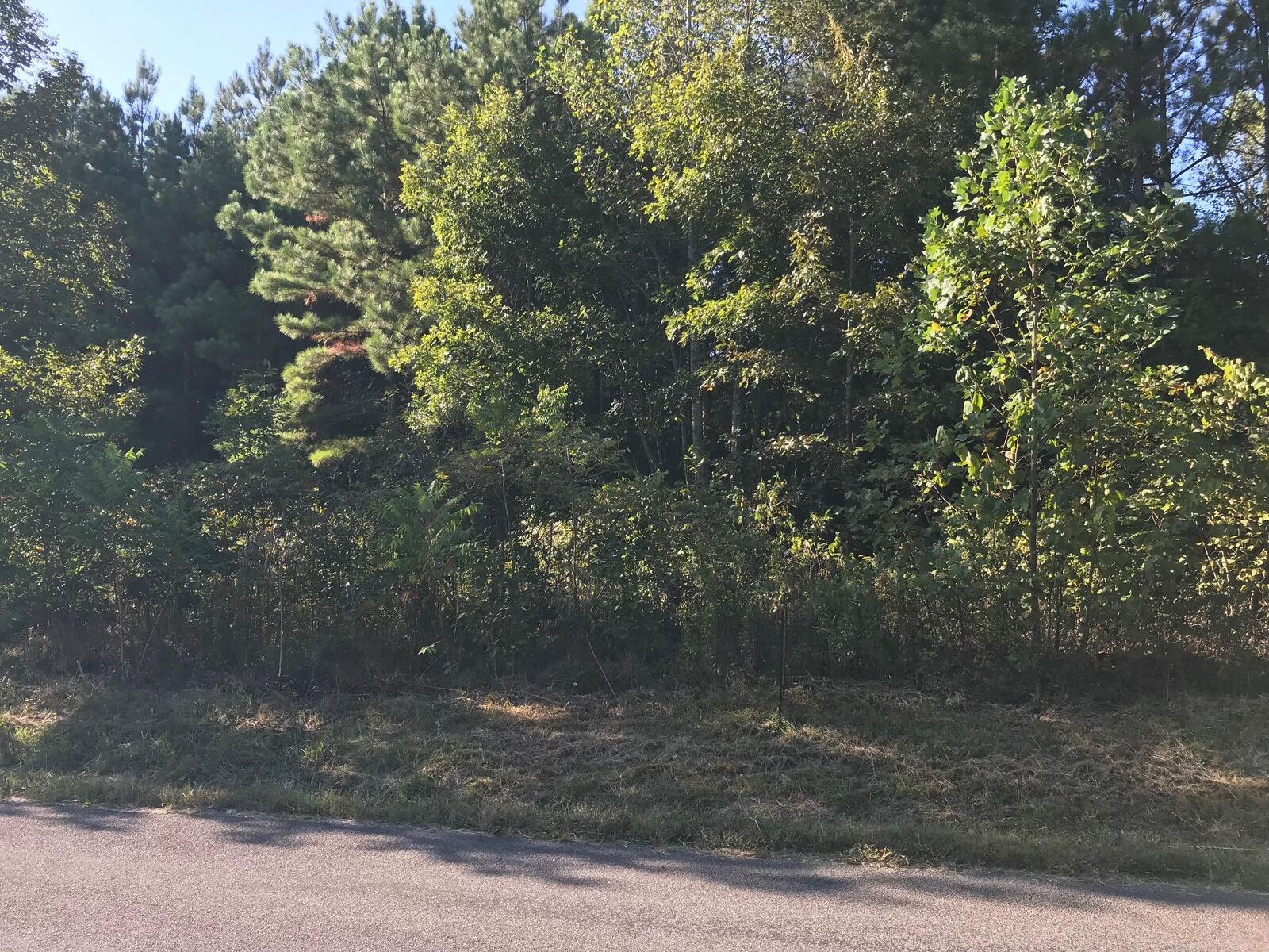 Property Photo:  County Road 778  TN 37303 