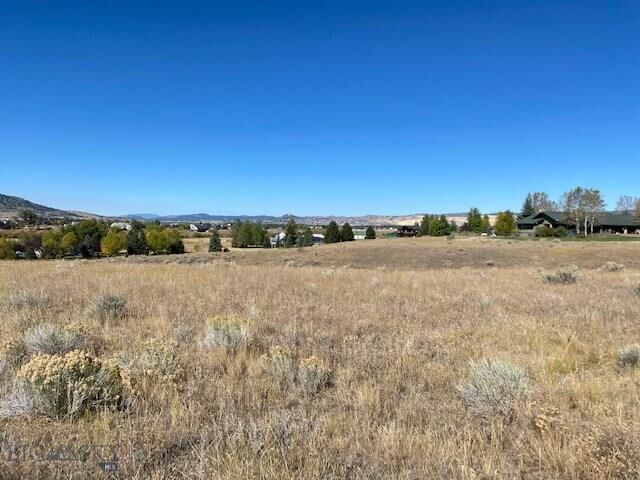 Property Photo:  Lot 1 Fulton Minor  MT 59701 