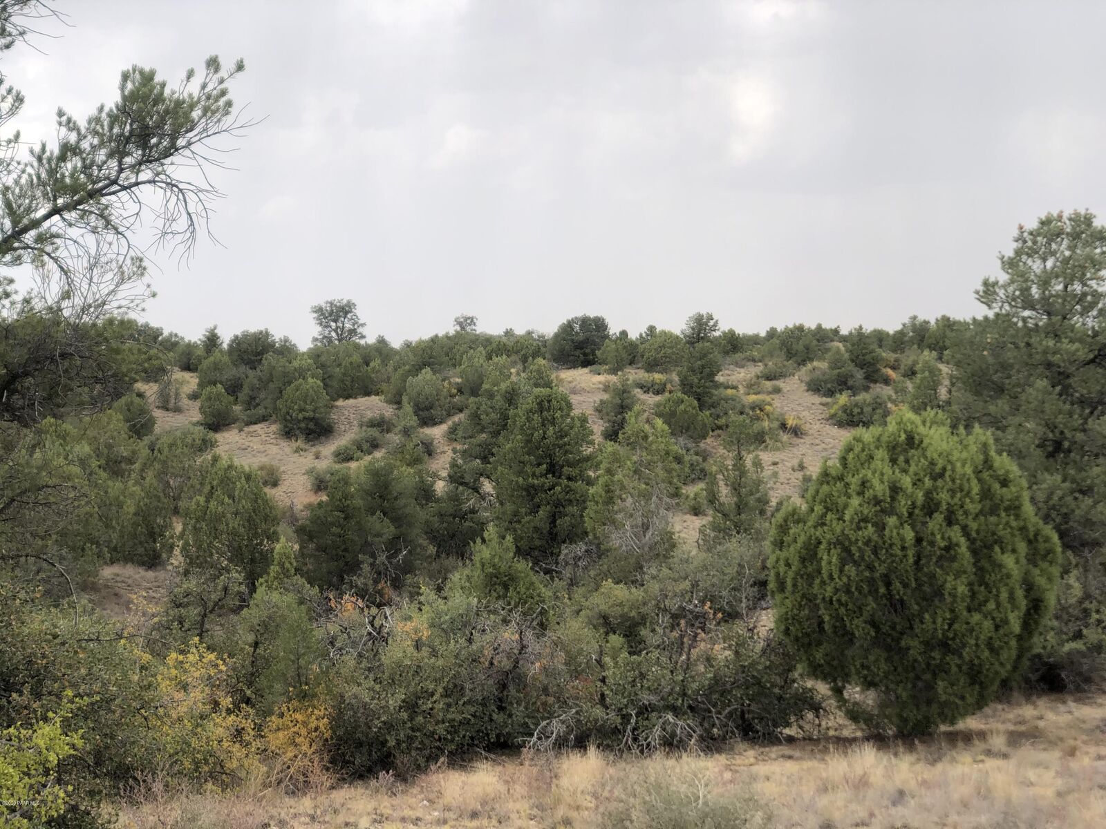 Property Photo:  7700 W Meadowlark Road  AZ 86305 