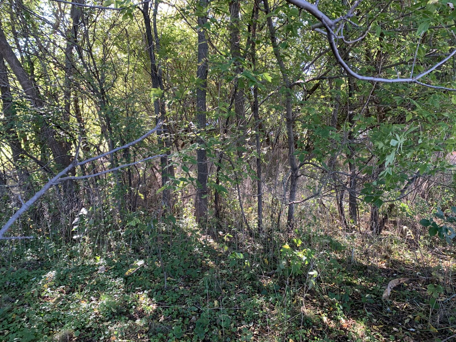 Property Photo: 870 Leah Ct WI 53549