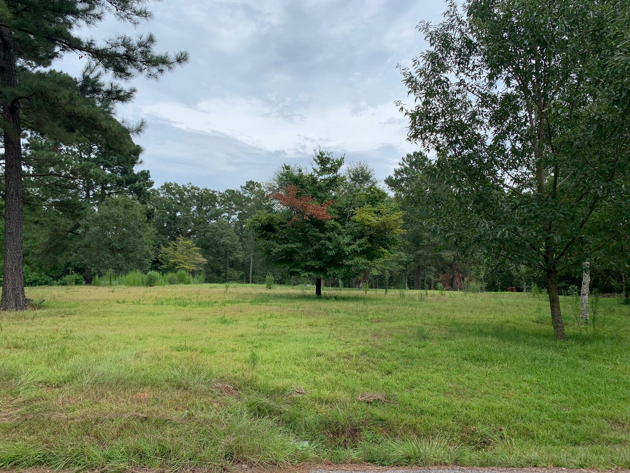 Property Photo: 0 Dogwood Lake (Lot 25) Rd. MS 39459