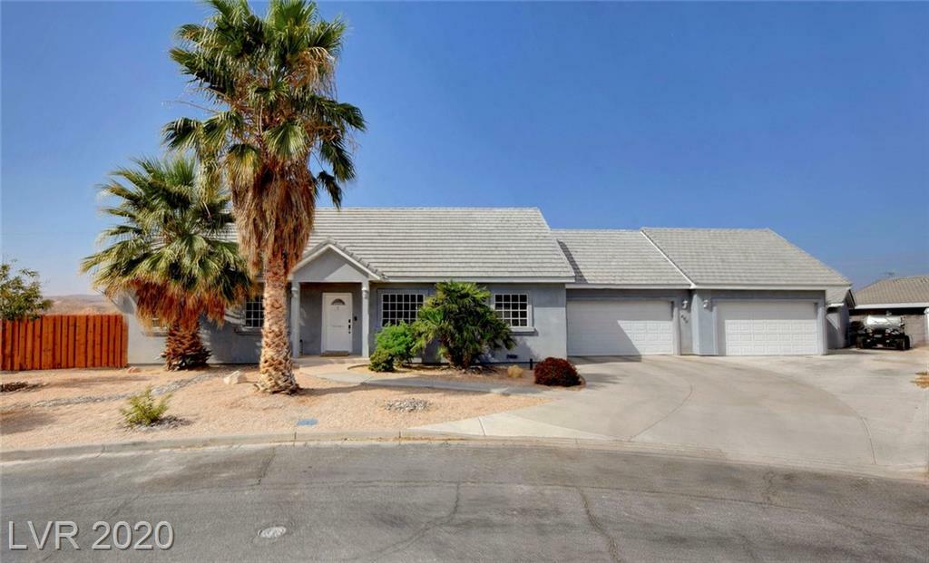 Property Photo:  490 Hank Circle  NV 89040 