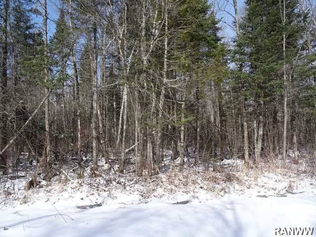Property Photo:  Lot 0 Tower Road  WI 54867 