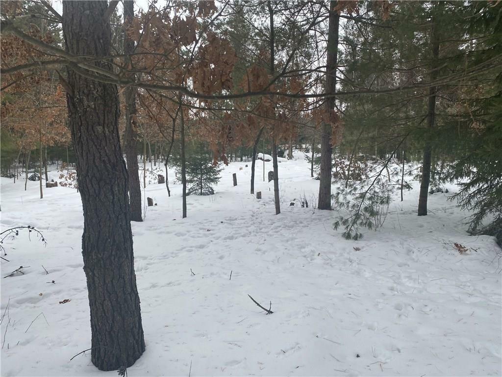 Property Photo: 10110 Nine Mile Creek Rd WI 54742