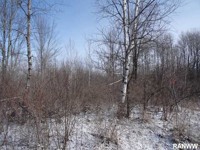Property Photo:  Lot 0 Off Squire Road  WI 54862 