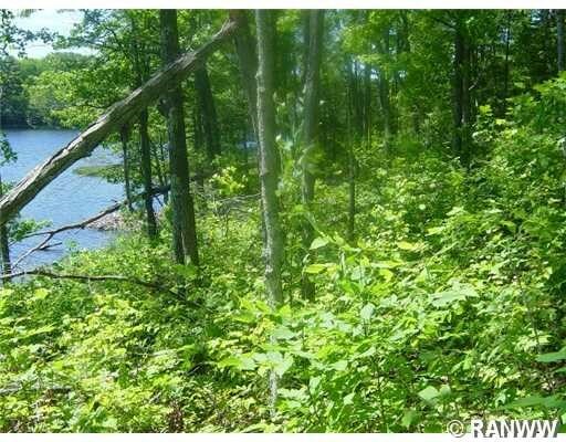 Property Photo: 0 Bag Waki Drive WI 54828