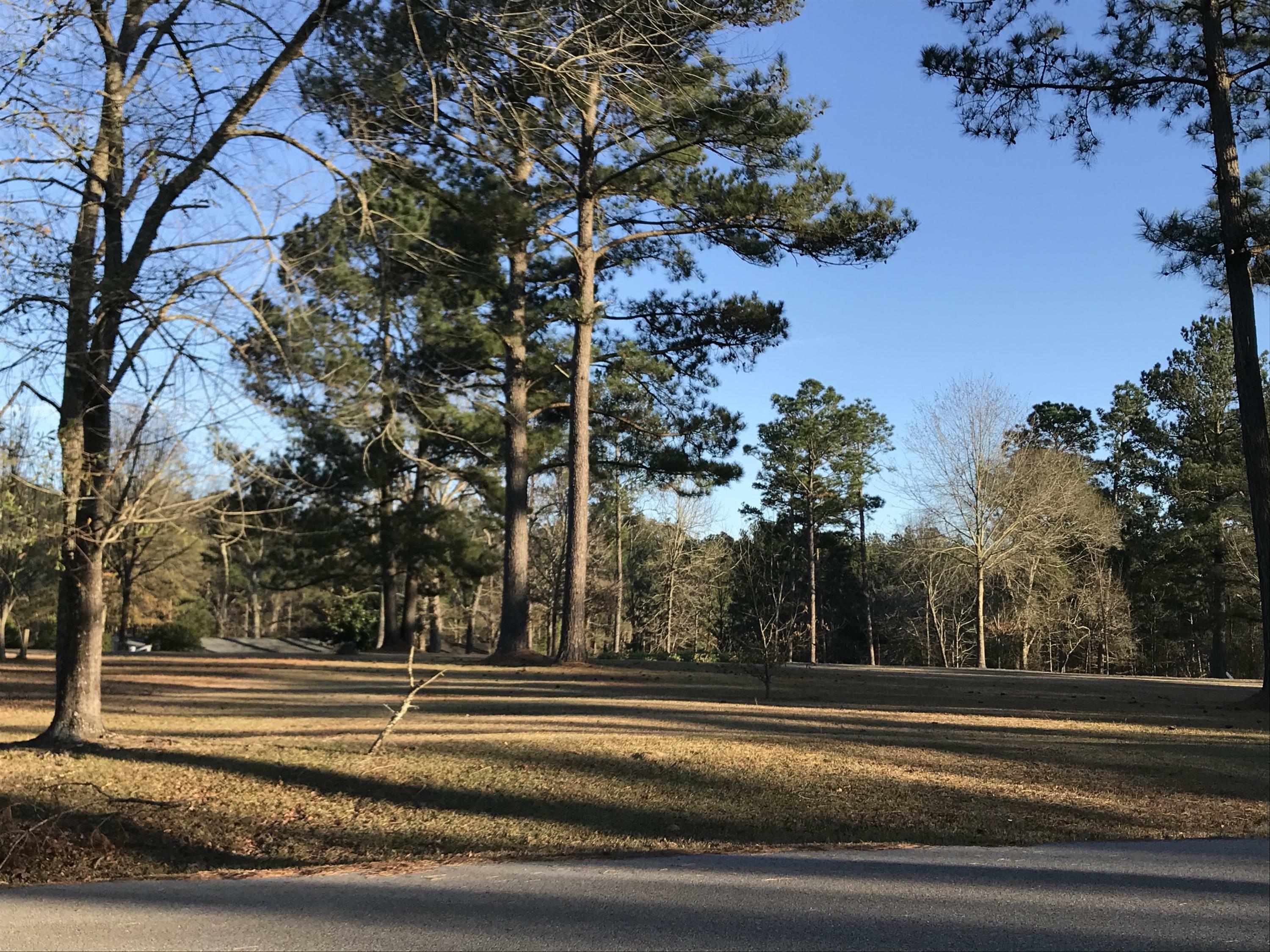 Property Photo: 0 Dogwood Lake (Lot 21) Rd. MS 39459