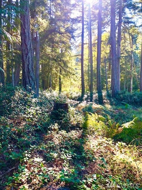 Property Photo: 0 Reef Net Rd WA 98250