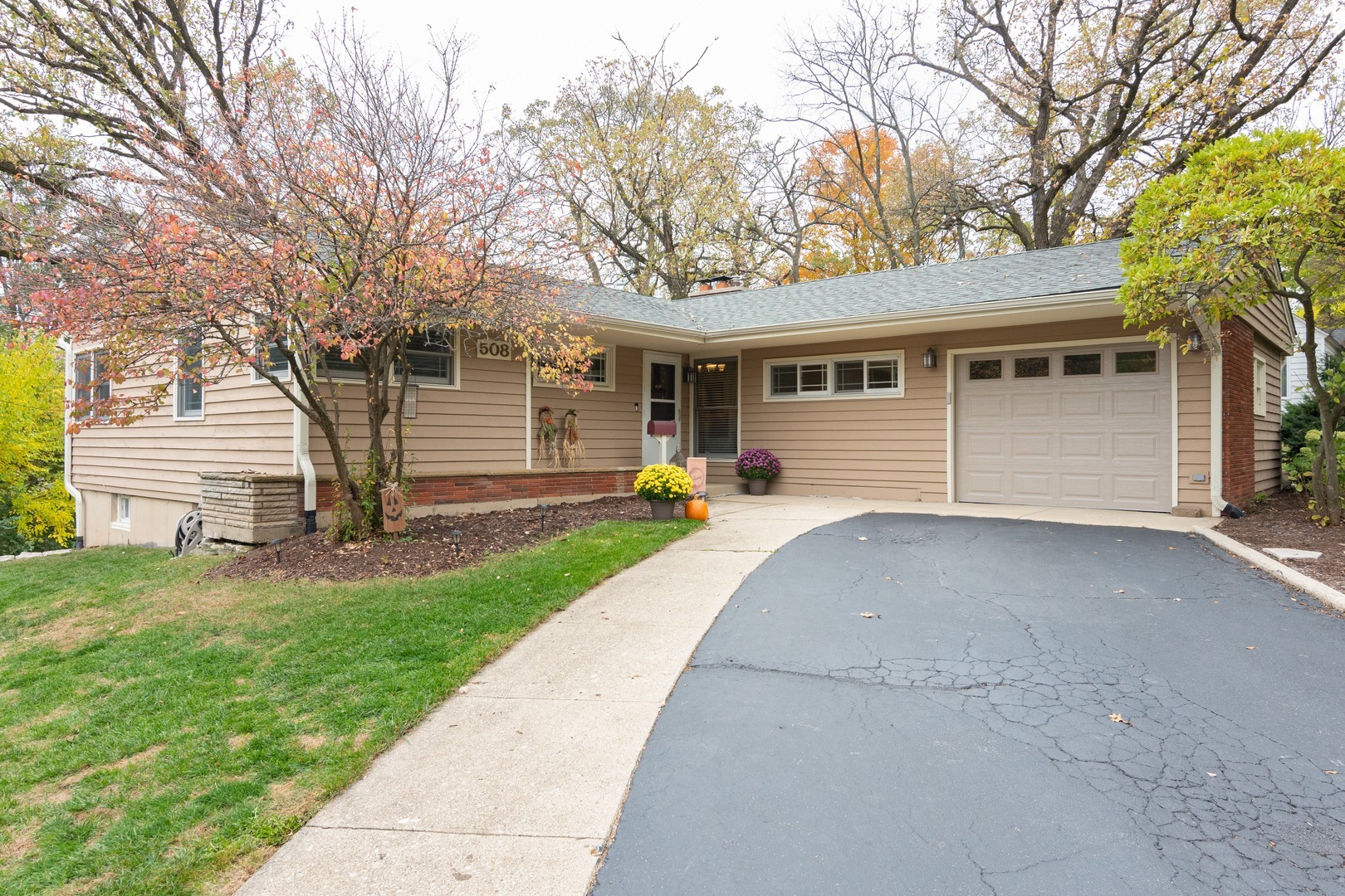 Property Photo:  508 Arbor Avenue  IL 60185 