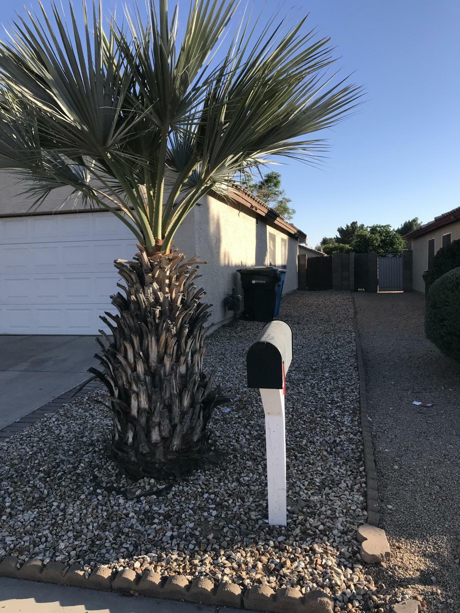 Property Photo: 4105 W Glenn Drive AZ 85051