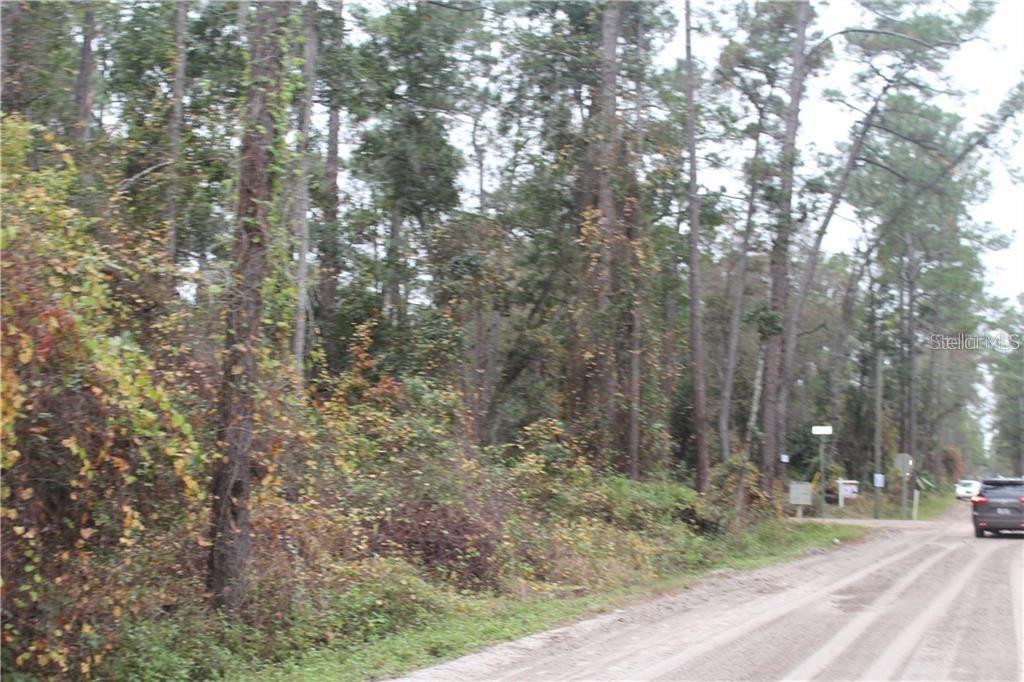 Property Photo:  1521 East Parkway  FL 32724 