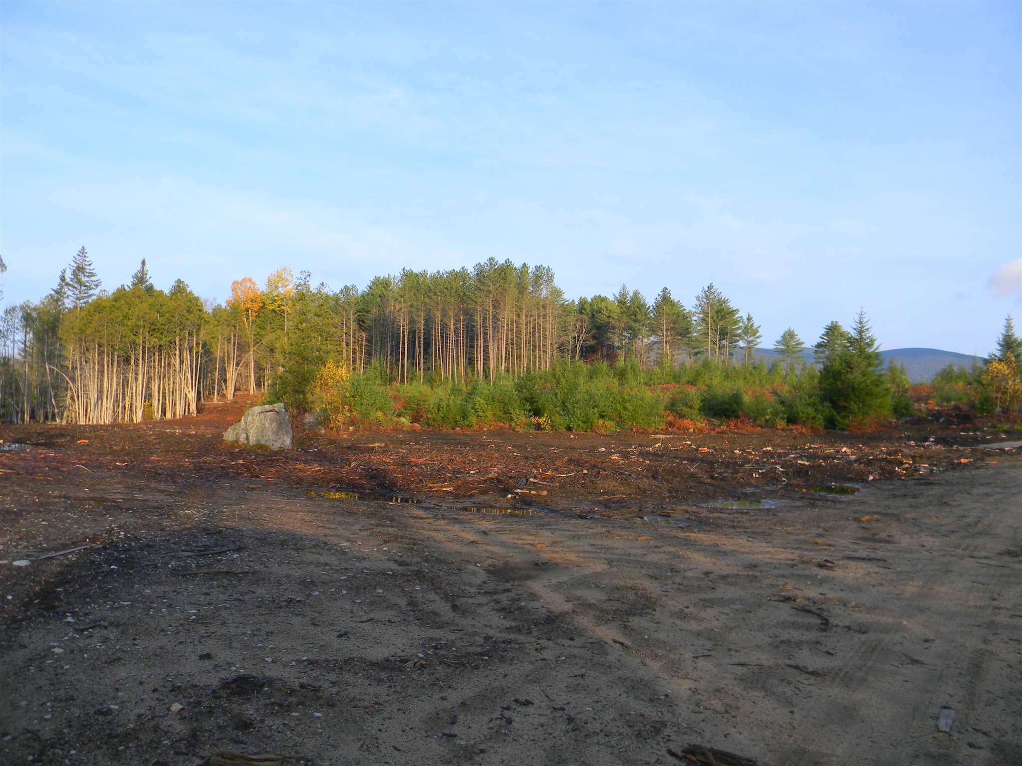 Property Photo: L34i Off Woodbury Cole Road NH 03582