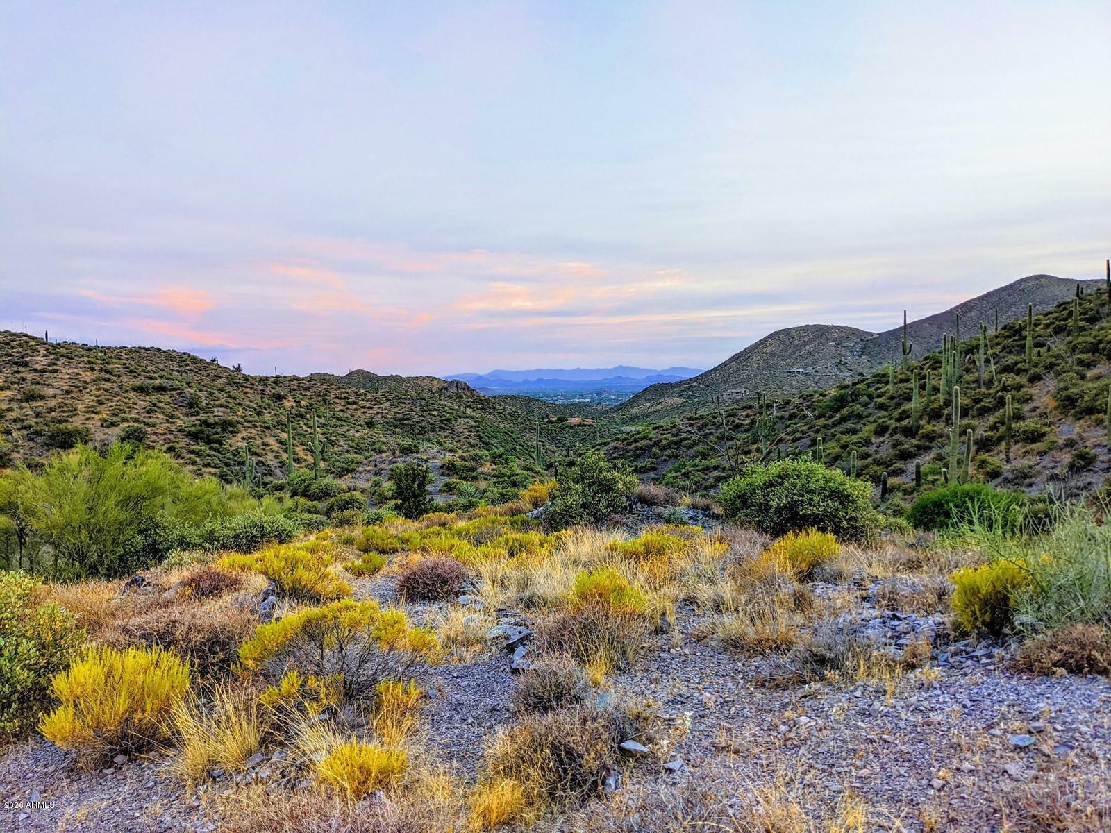 Property Photo:  9554 E Cattle Herd Drive -  AZ 85262 