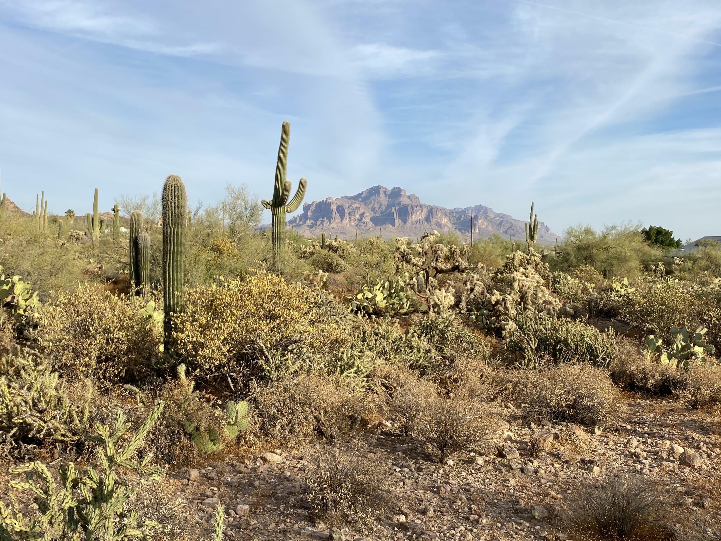 Property Photo:  5187 N Delaware Drive -  AZ 85120 