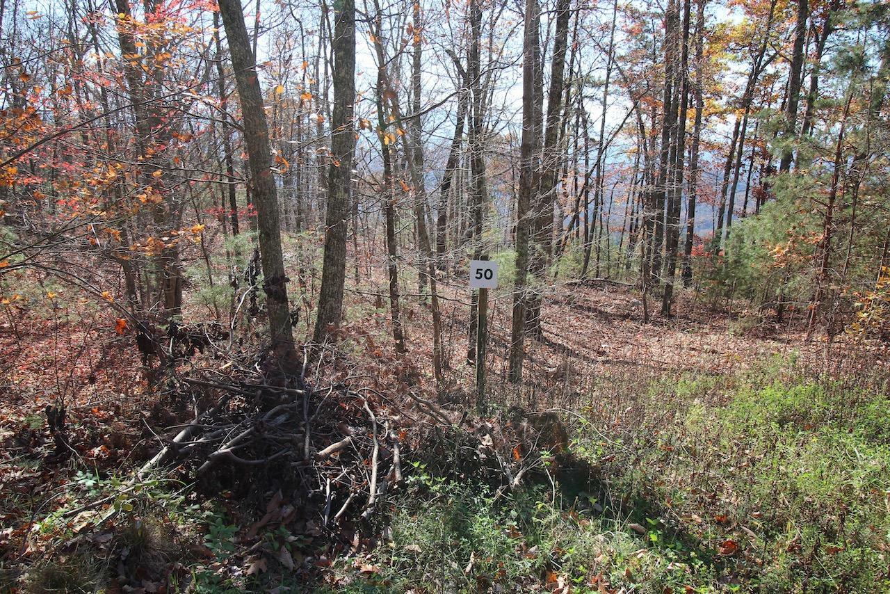 Property Photo:  Lot 50 Mountain Ash Way  TN 37876 