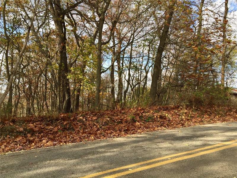 Property Photo: 0 Wallrose Heights Rd PA 15005