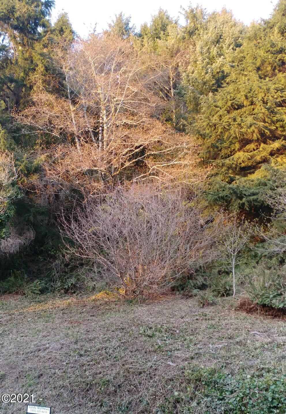 Property Photo: Lot 21 Sea Crest Drive OR 97369
