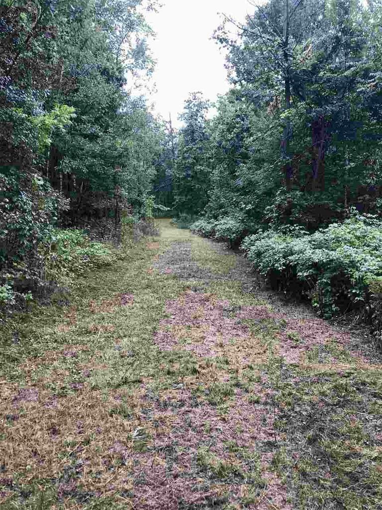 Property Photo:  Lot 1-7 Clark Avenue  WI 54456 