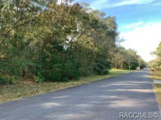 654 W Liberty Street  Hernando FL 34442 photo