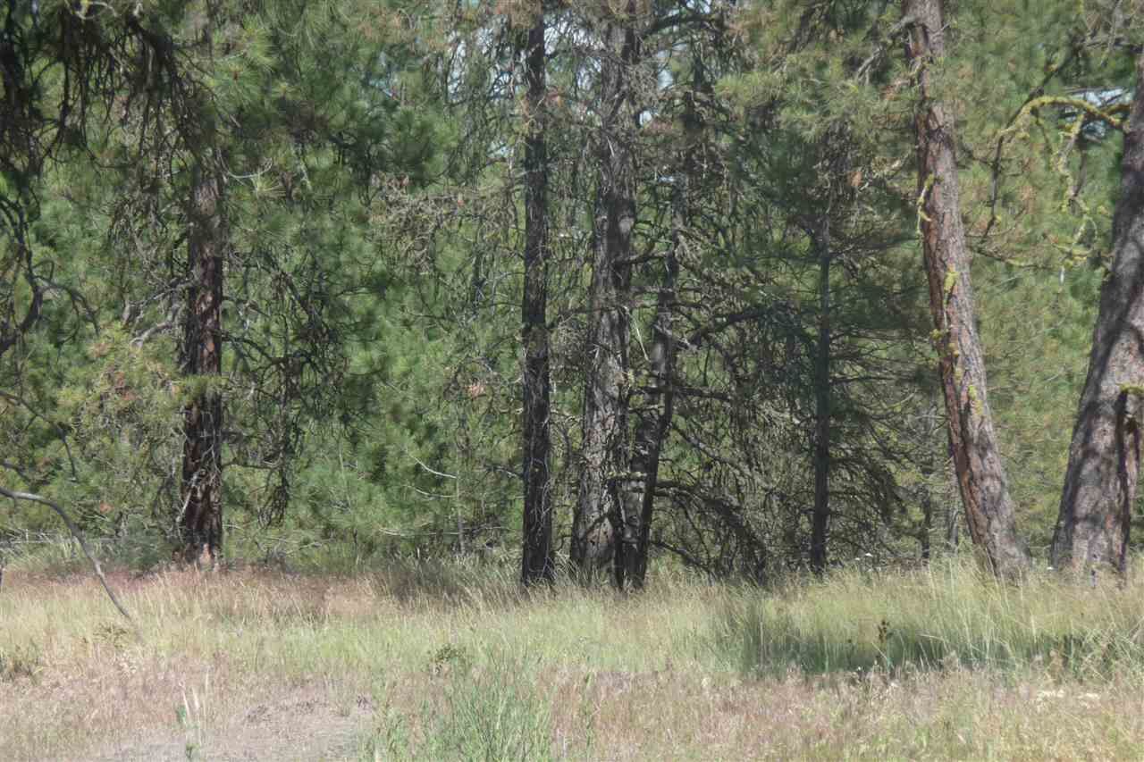 Property Photo:  000 S Hunter Rd  WA 99004-9386 