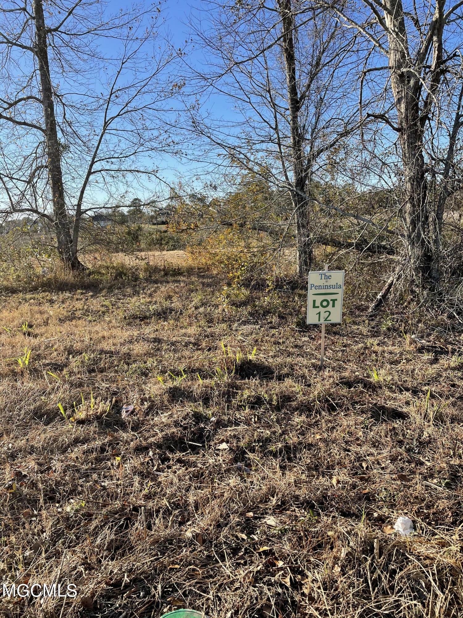 Property Photo:  Lot 12 Wetzel Drive  MS 39532 