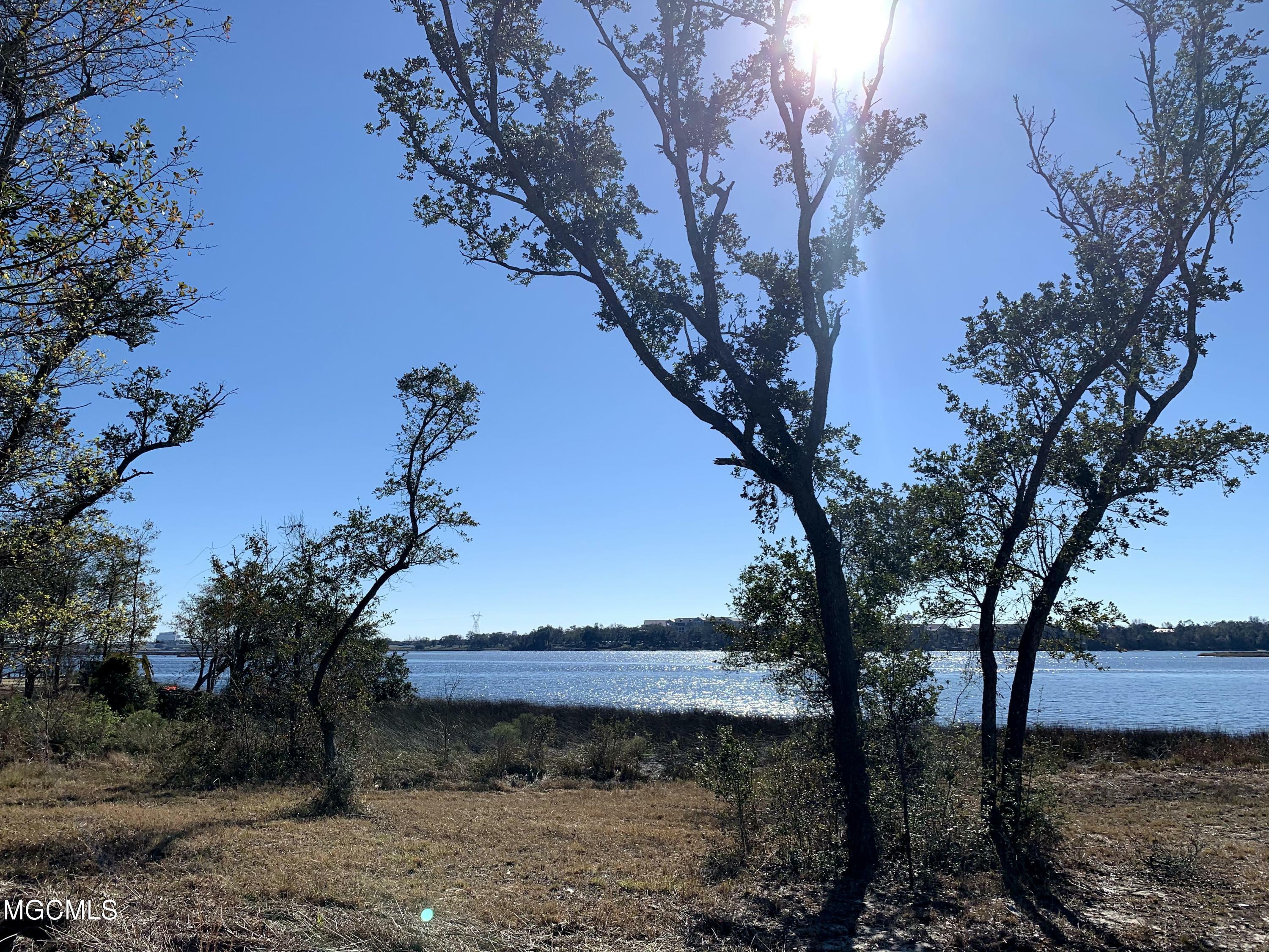 Property Photo: Lot 5 Wetzel Drive MS 39532
