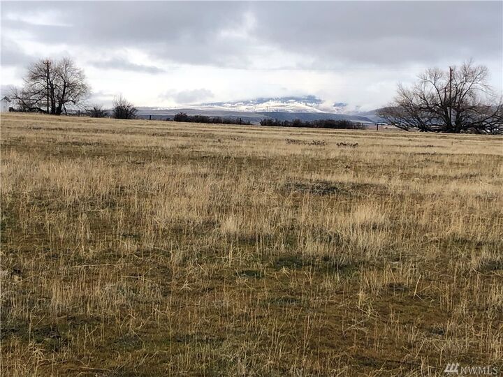 2200 Xx Hunter Rd  Ellensburg WA 98926 photo